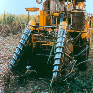 Zuckerrohrernte - maschinen